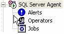 SQL Server Agent