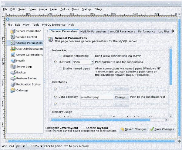 MySQL Database Management